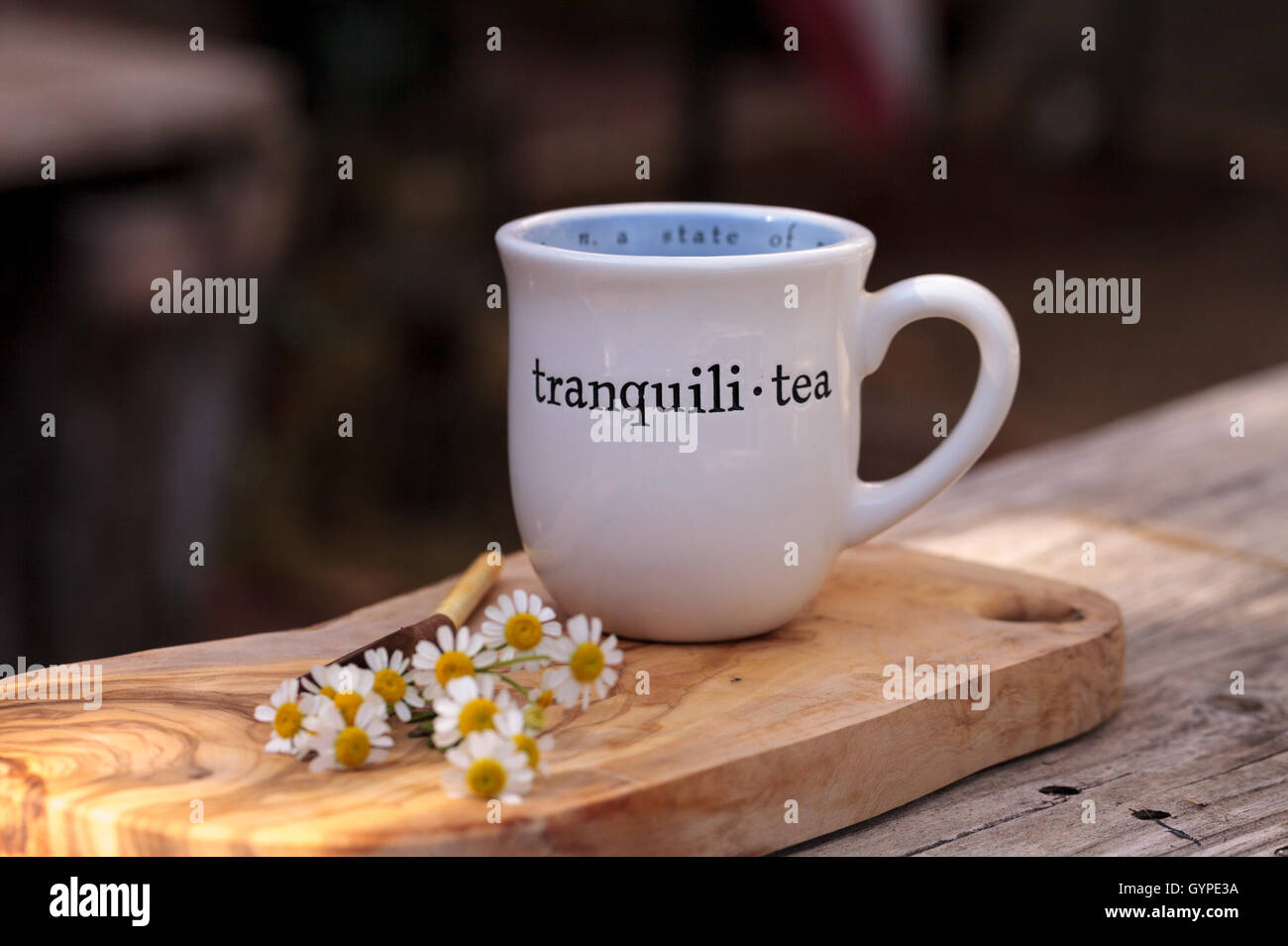 Chamomile tea with chamomile daisy flowers in a hot white cup on a ...