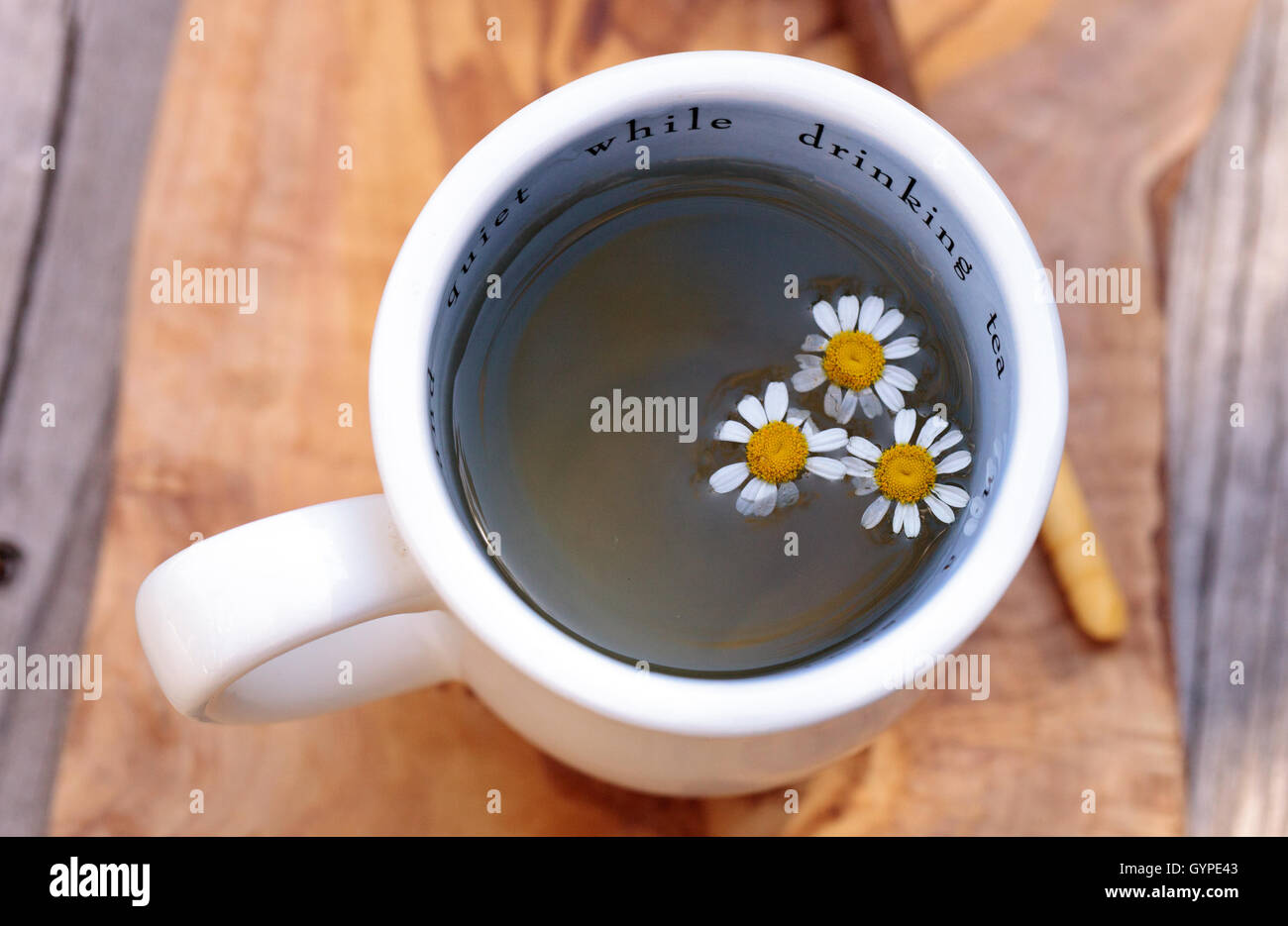 Chamomile tea with chamomile daisy flowers in a hot white cup on a ...