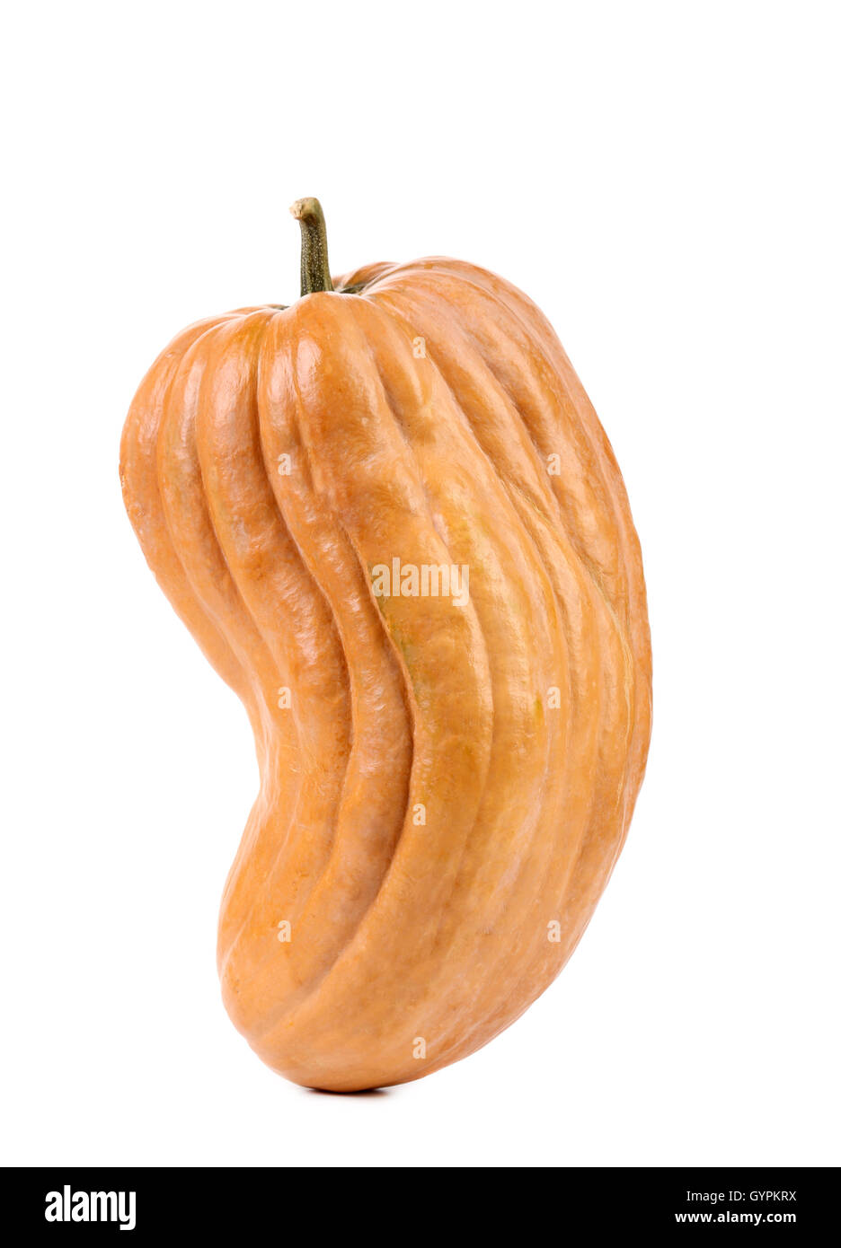 Fresh orange pumpkin Stock Photo - Alamy