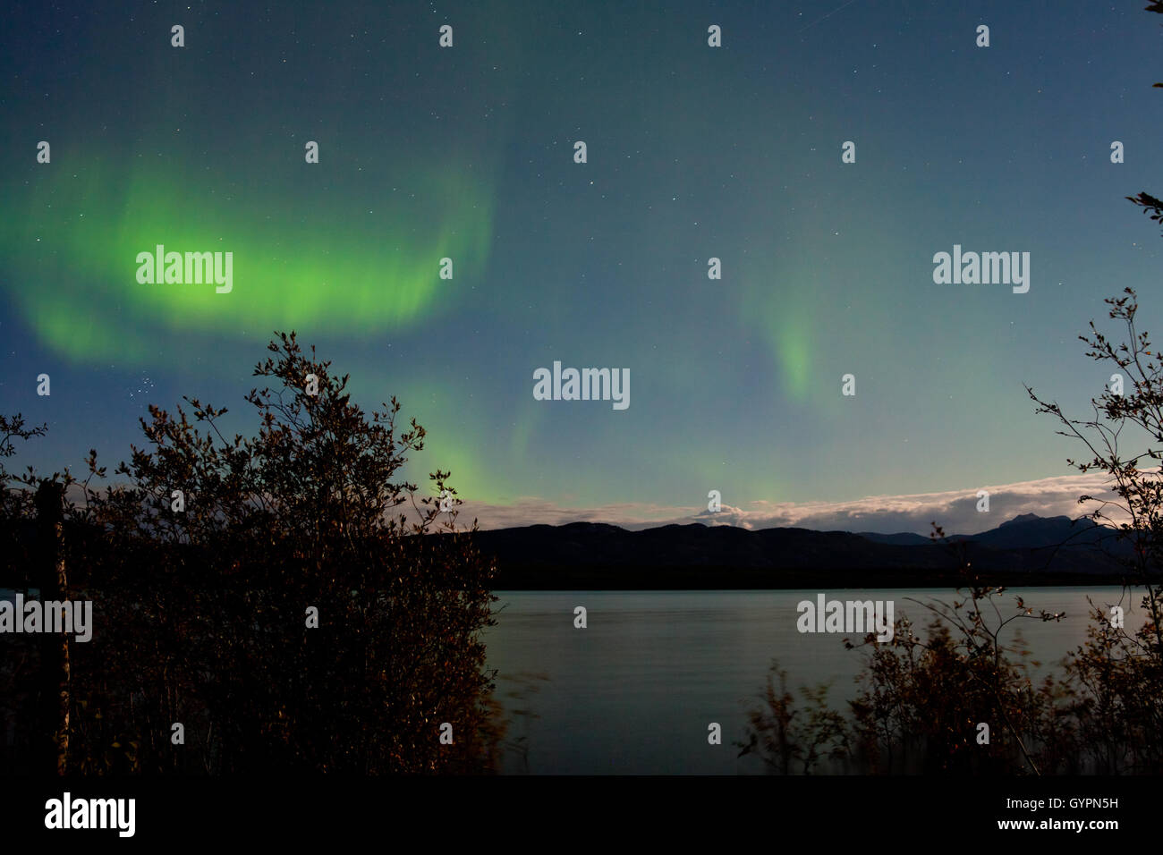 Northern Lights moon-lit clouds over Lake Laberge Stock Photo - Alamy