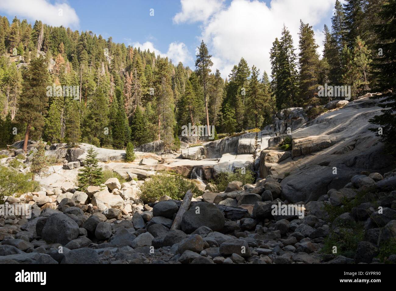Rocky creek with grass hi-res stock photography and images - Alamy