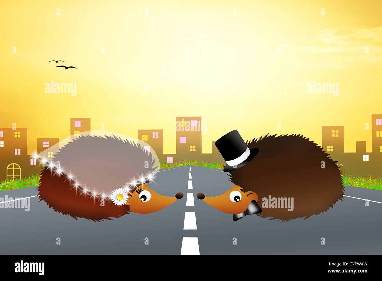 hedgehogs in love Stock Photo Alamy