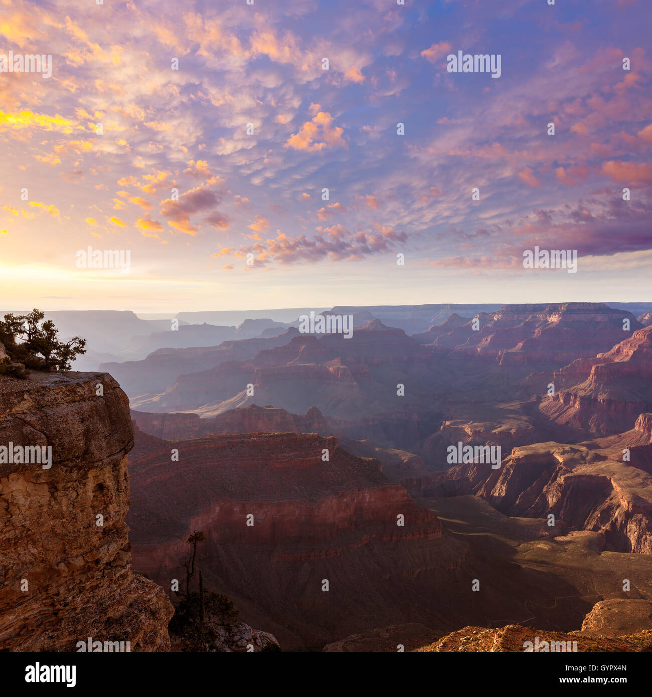 Arizona sunset Grand Canyon National Park Yavapai Point Stock Photo - Alamy