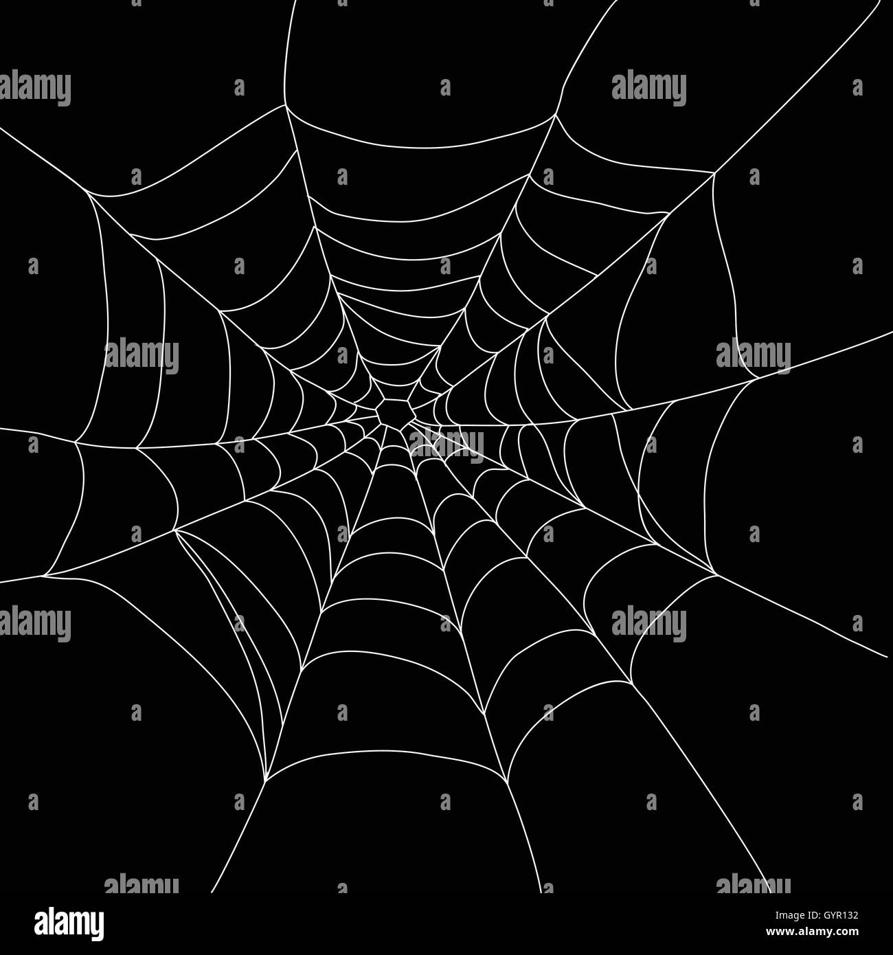 Big spider isolated on white Stock Vector Images - Alamy