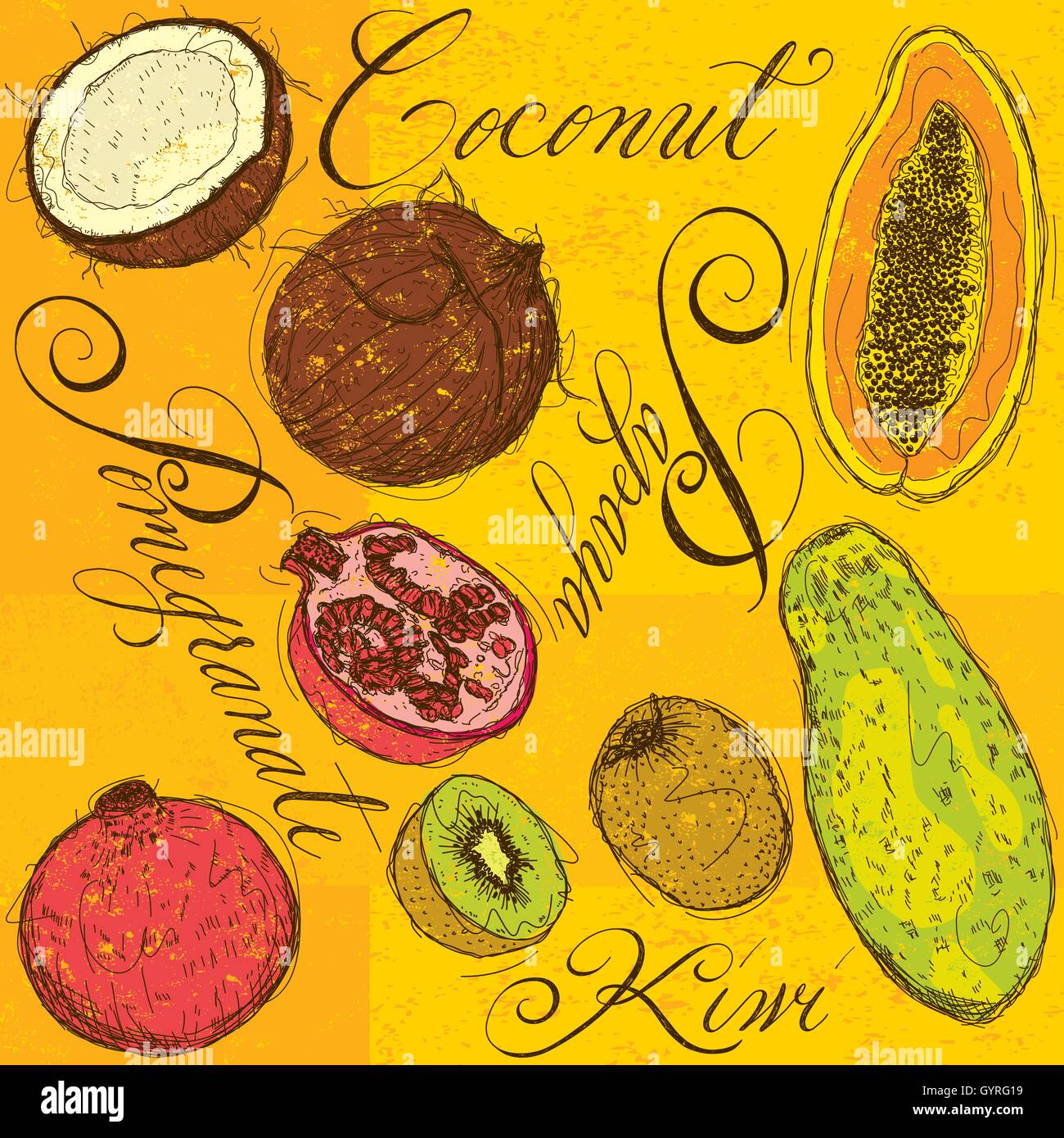 Fruit drawings Mixed fruit with calligraphy. The fruits are coconut