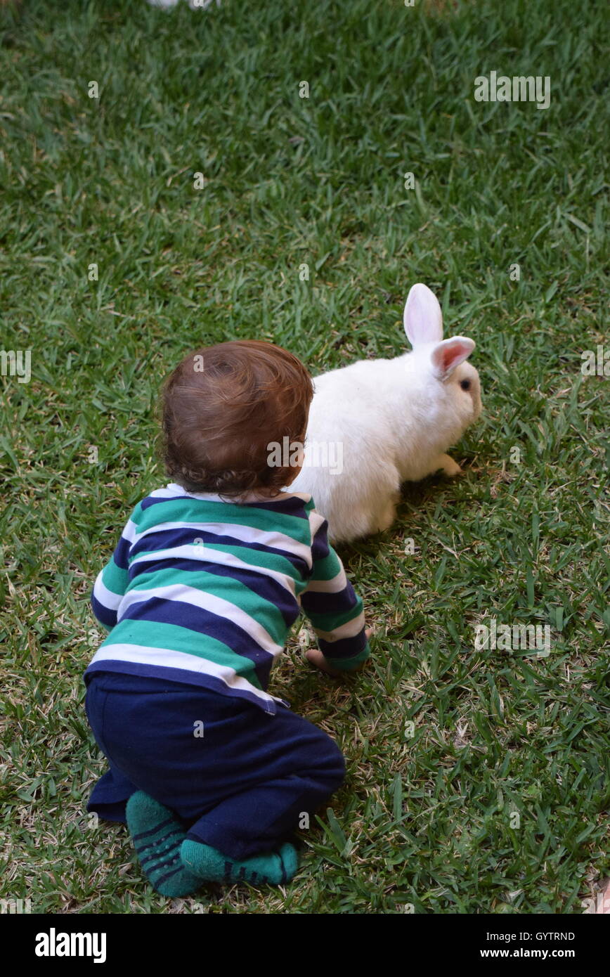 Rabbit chasing hires stock photography and images Alamy