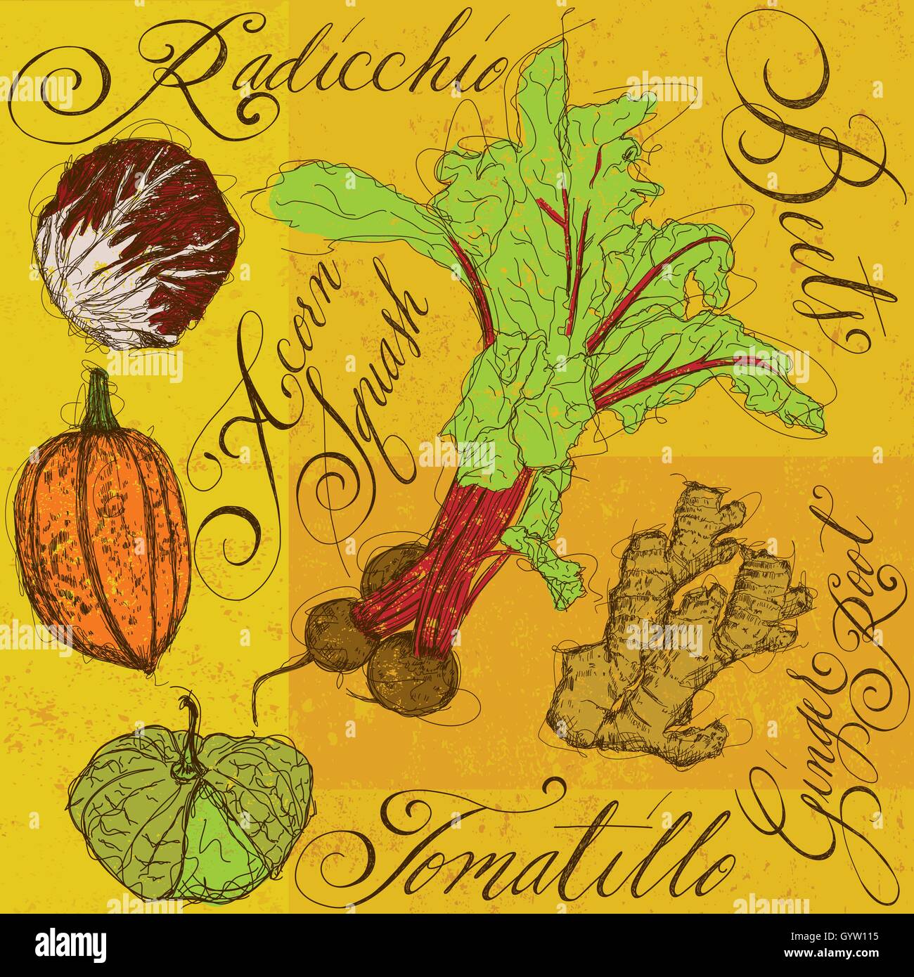Mixed vegetables with calligraphy. The vegetables are a radicchio, beets, tomatillo, acorn squash,  and ginger Stock Vector