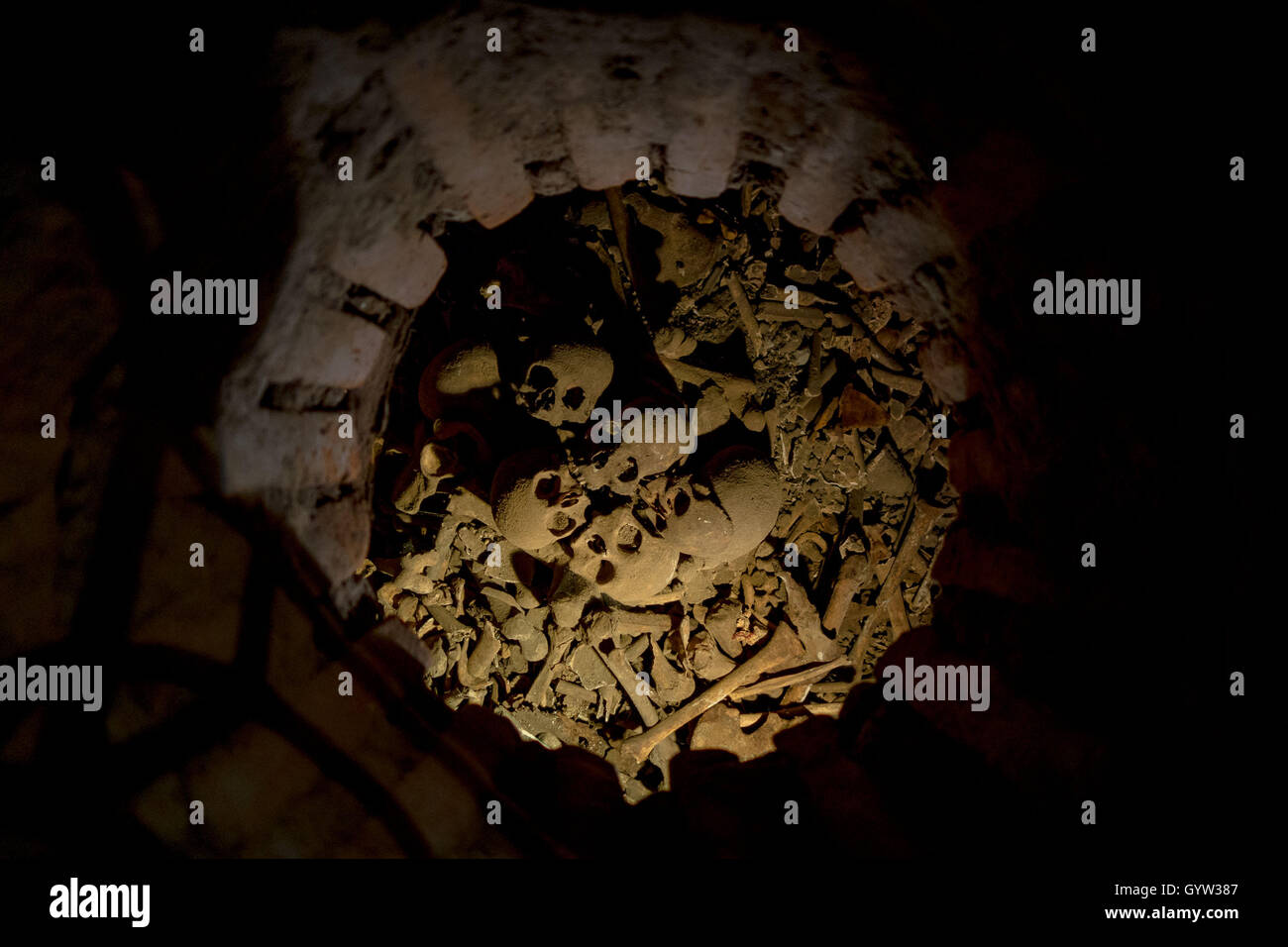 A Pile Of Skulls And Bones Stock Photos & A Pile Of Skulls And Bones