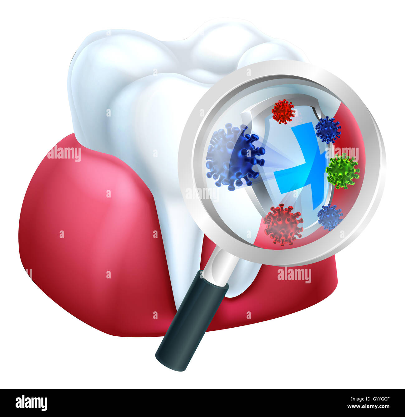Tooth and gum being protected from bacteria by a shield magnified by a magnifying glass concept Stock Photo
