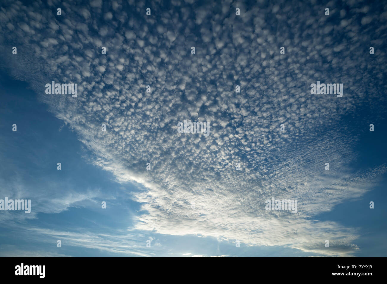 Small cirrocumulus clouds, herringbone sky, by the Atlantic coast, Vandee, France Stock Photo