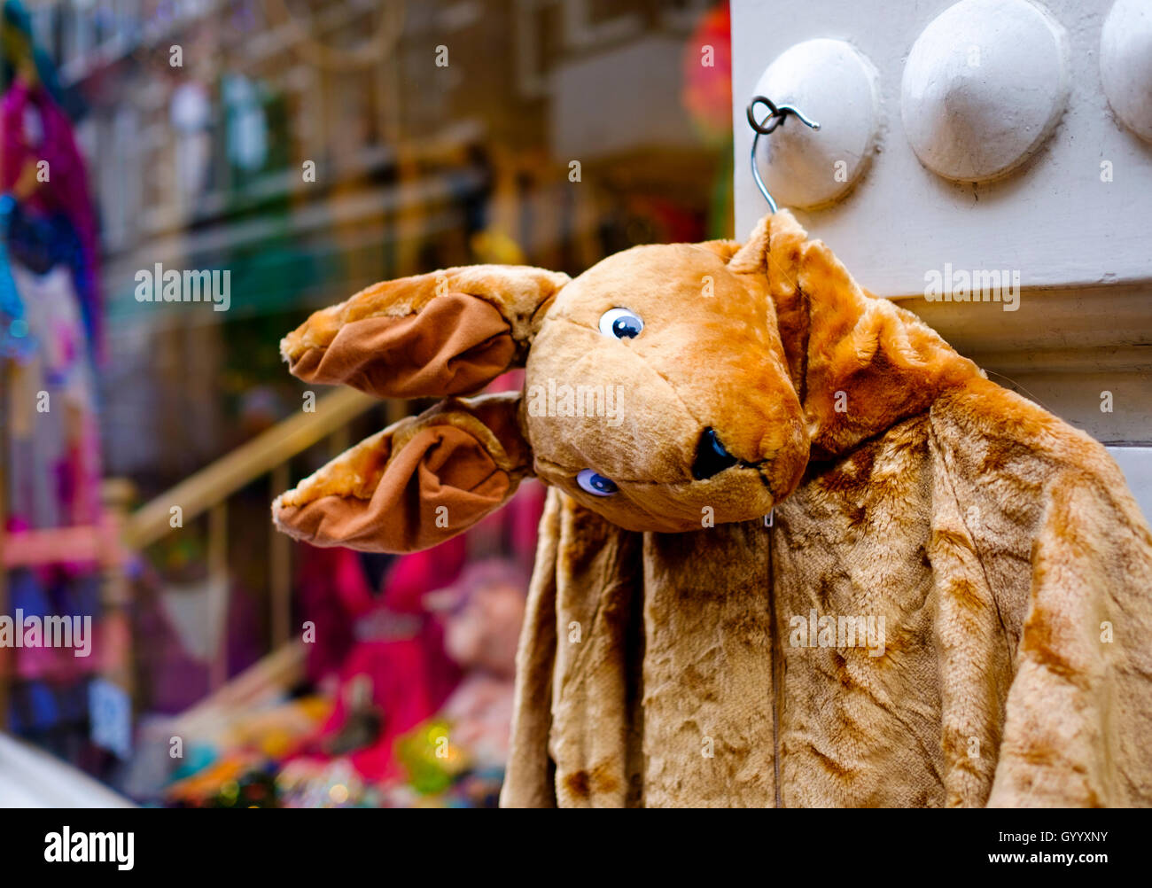 Kangaroo Jacket made of Plush, hanging in front of shop windows, Amsterdam, The Netherlands Stock Photo