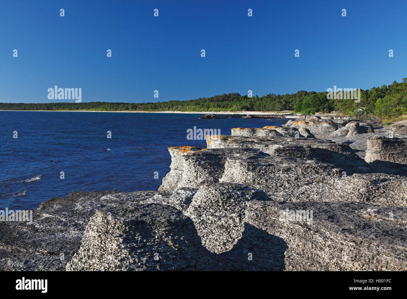 chalkstone pillars at the coast at Byrums Raukar, Sweden, Oeland, Byrums Raukar Stock Photo