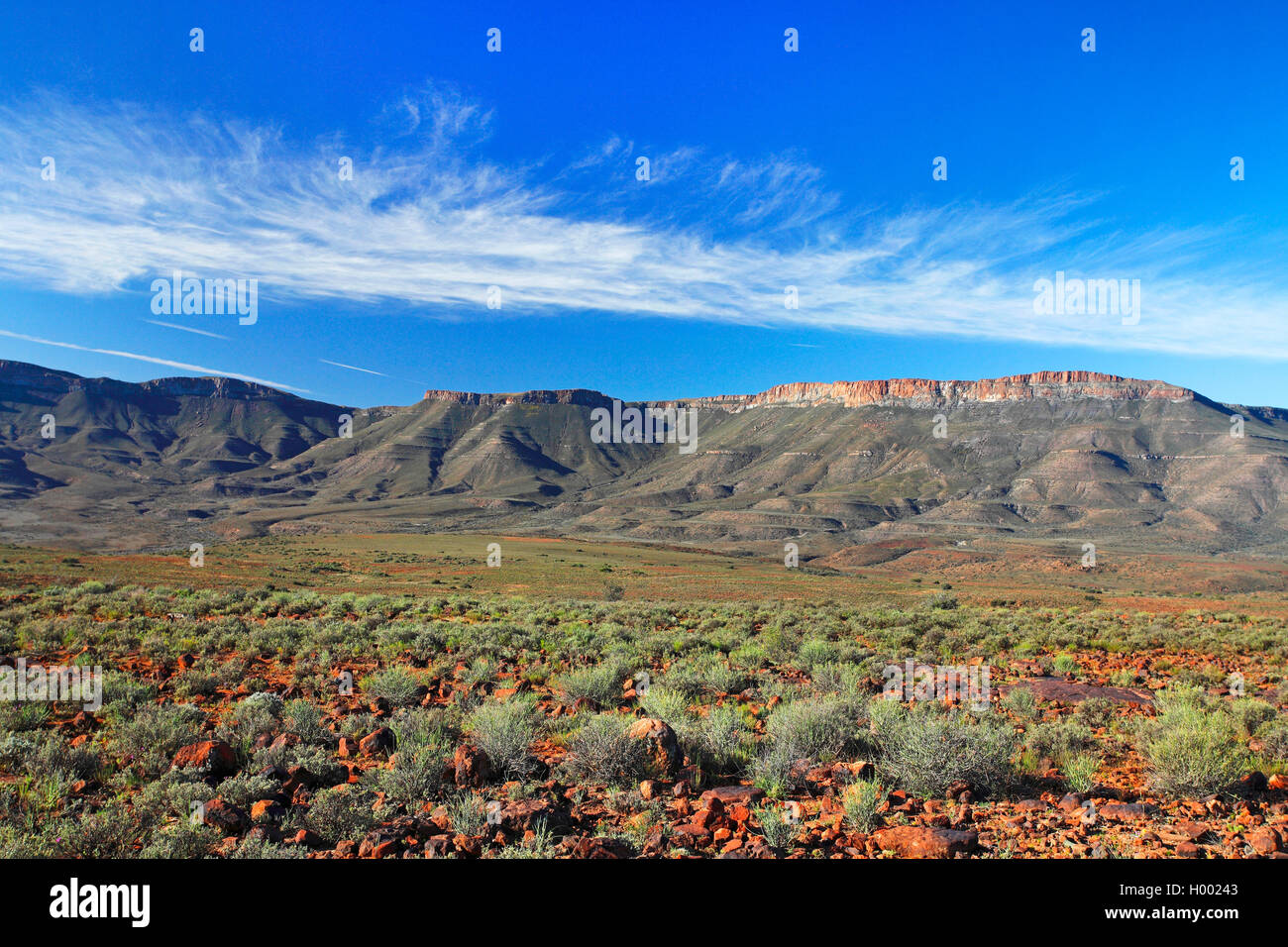 Karoo National Park, high plain in front of Nuweveld Mountains, South Africa, Western Cape, Karoo National Park Stock Photo