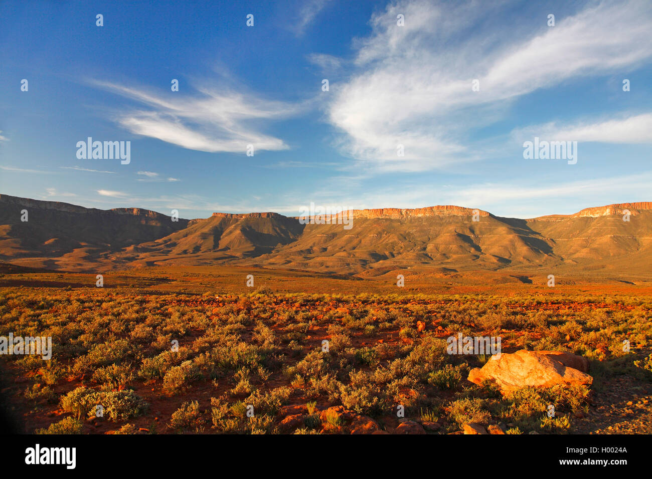 Karoo National Park, high plain in front of Nuweveld Mountains, South Africa, Western Cape, Karoo National Park Stock Photo