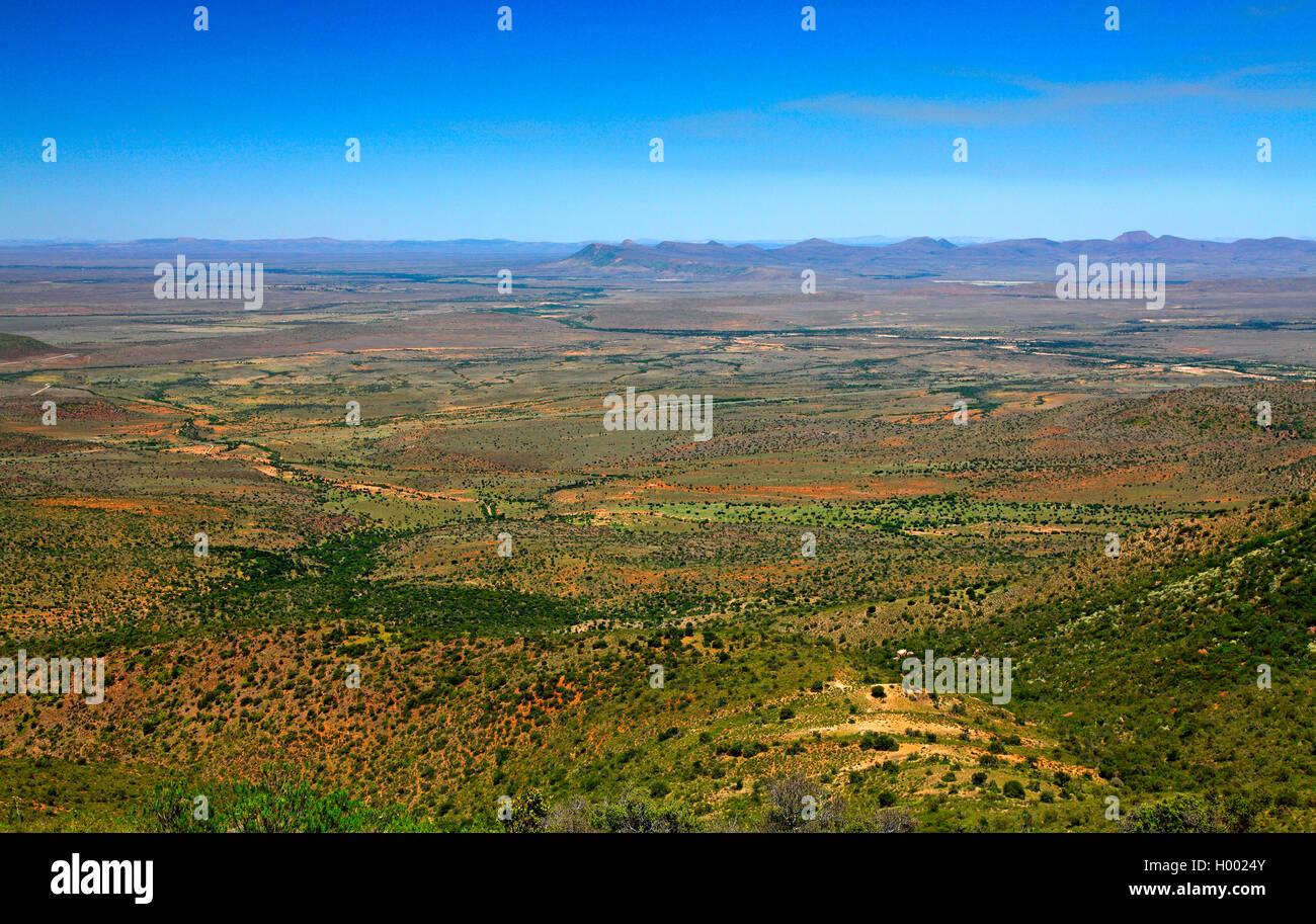 Karoo plain south of Graaff-Reinet, South Africa, Western Cape Stock Photo