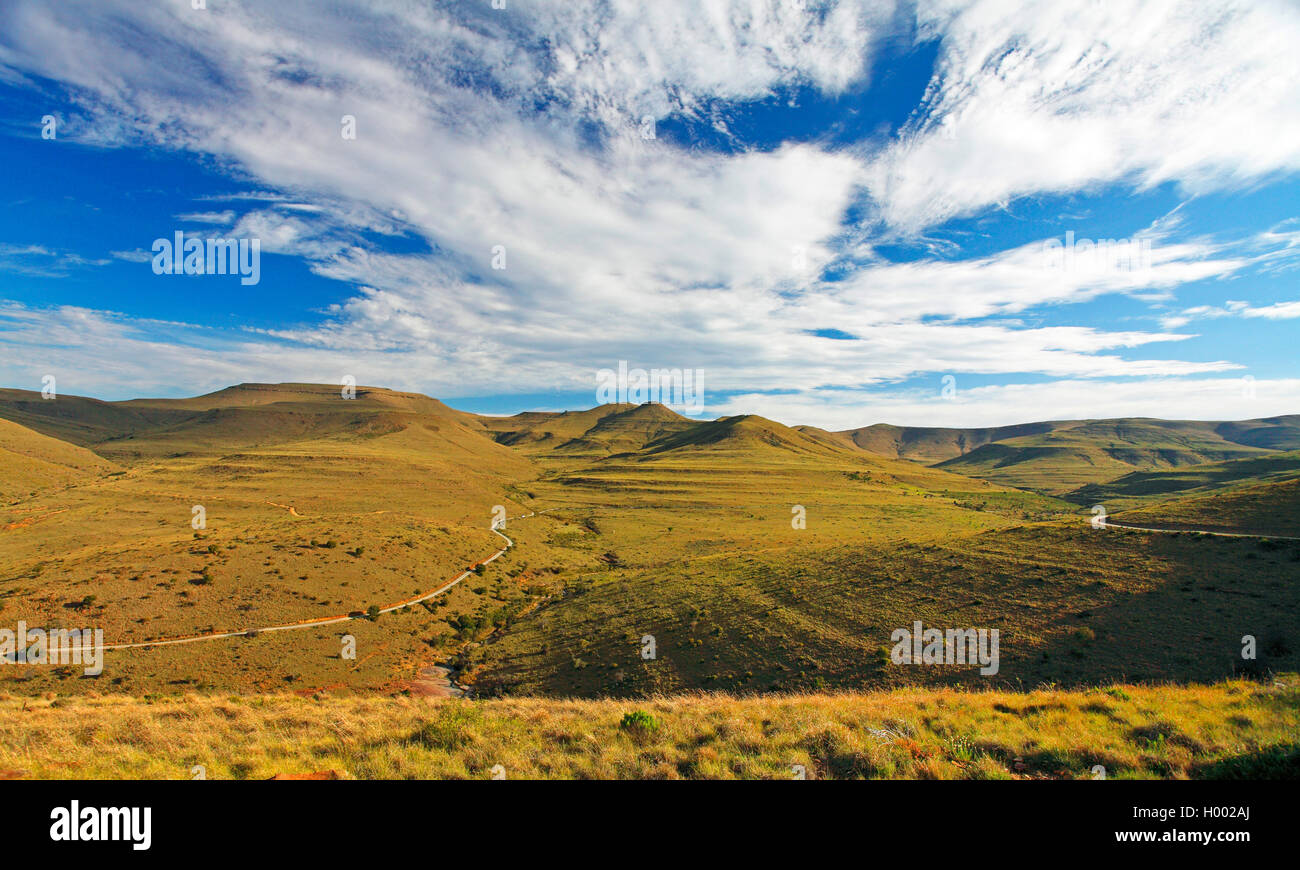 Mountain Zebra National Park, Kranskop Loop in the southern area, South Africa, Eastern Cape, Mountain Zebra National Park Stock Photo