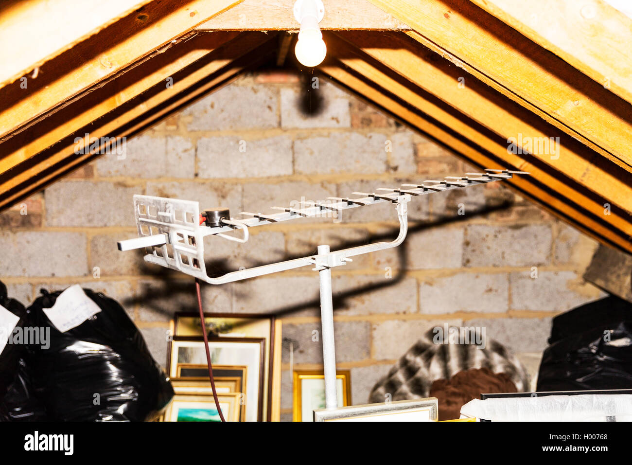 TV Ariel in House loft space attic space analogue ariel wooden beams supporting roof UK England GB Stock Photo