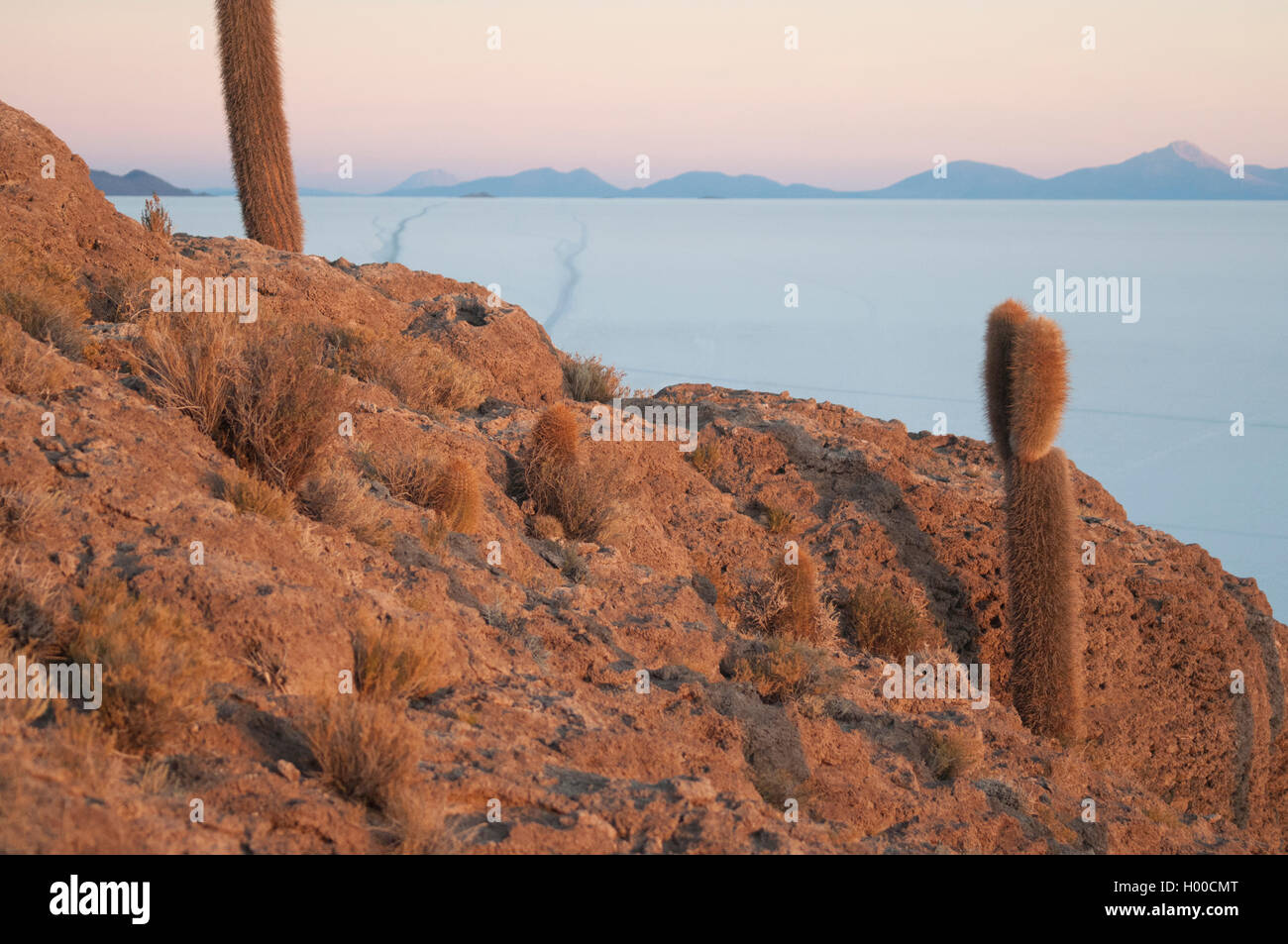 Sunrise over the Salar de Uyuni at Isla Incahuasi, southwestern Bolivia ...