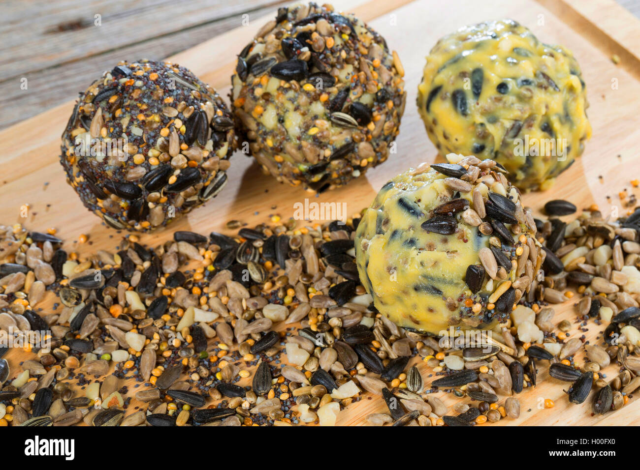 selbstgemachtes Vogelfutter wurde zu Maisenknoedeln geformt | self made birdseeds are formed as fett balls | BLWS419335.jpg [ (c Stock Photo