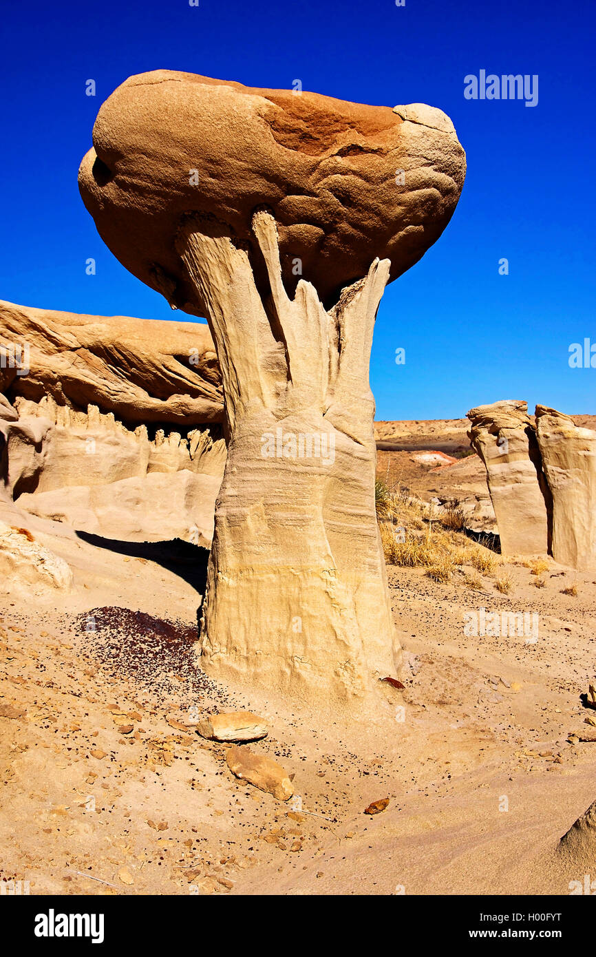 Giant Mushroom at the Valley of Dreams, USA, New Mexico, Valley of Dreams Stock Photo