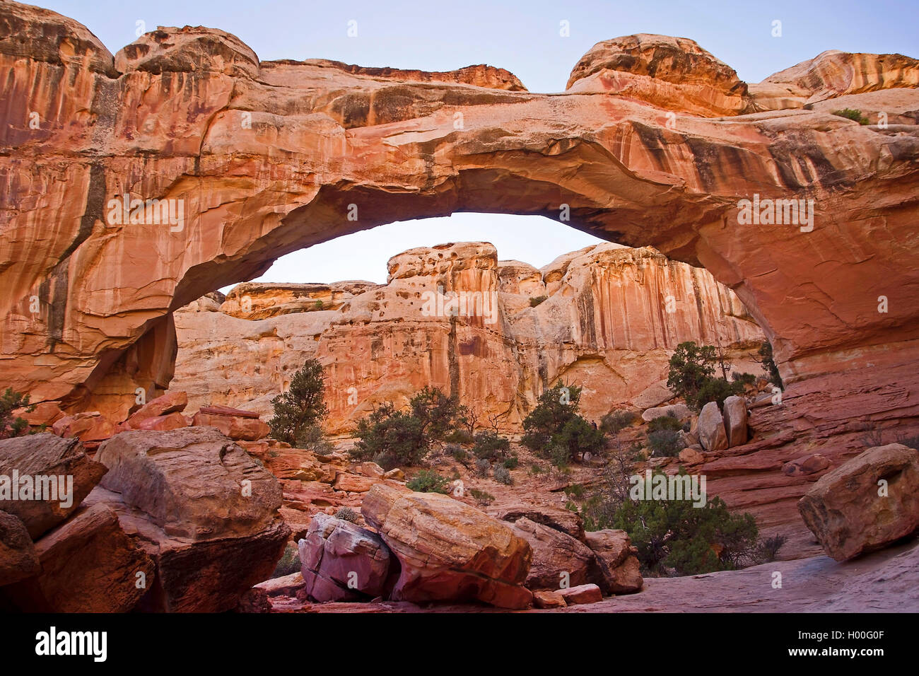 arch at the Capitol Reef National Park, USA, Utah, Capitol Reef National Park Stock Photo