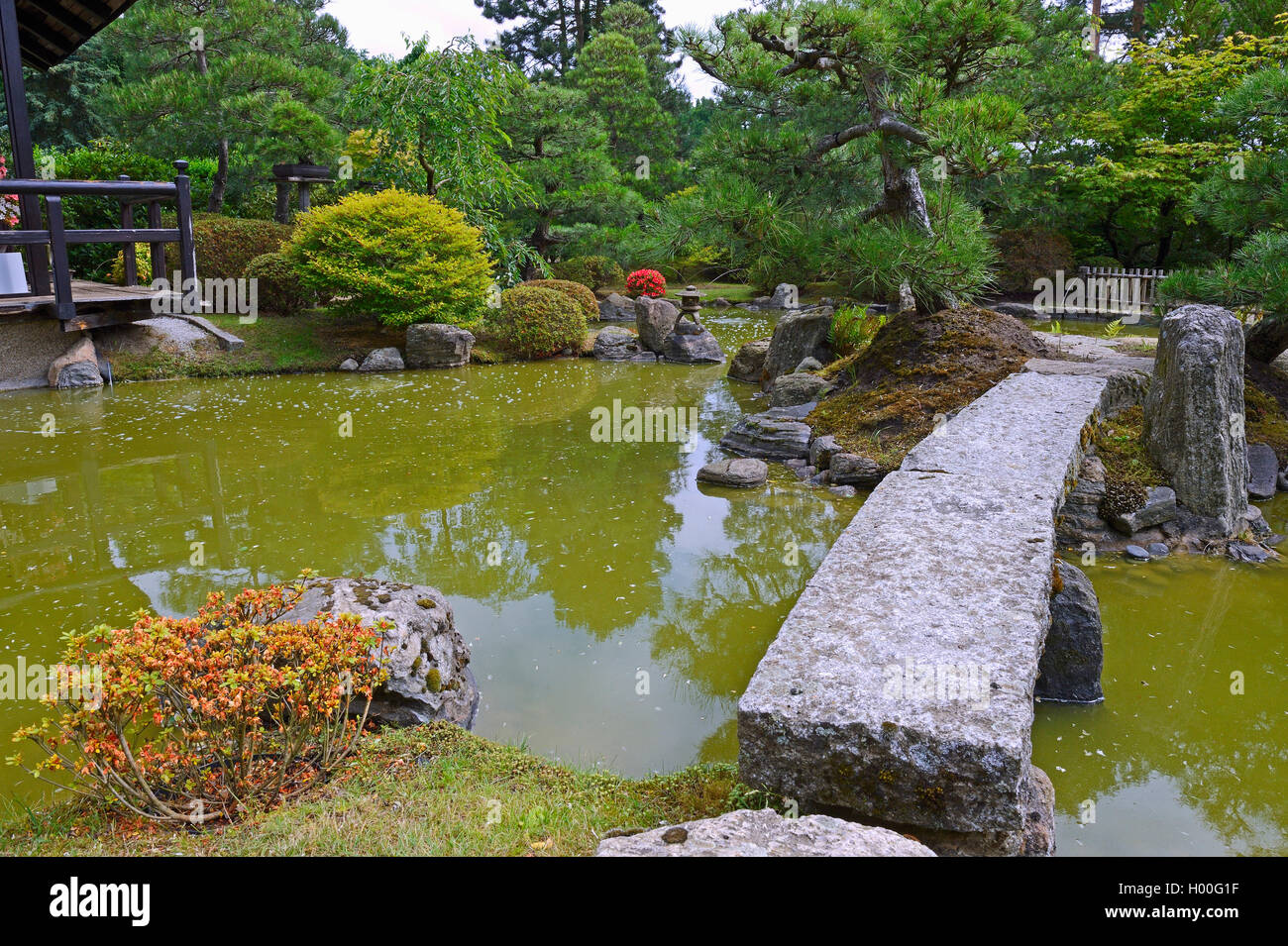 typical Japanese garden with stone decoration and koi pond Stock Photo