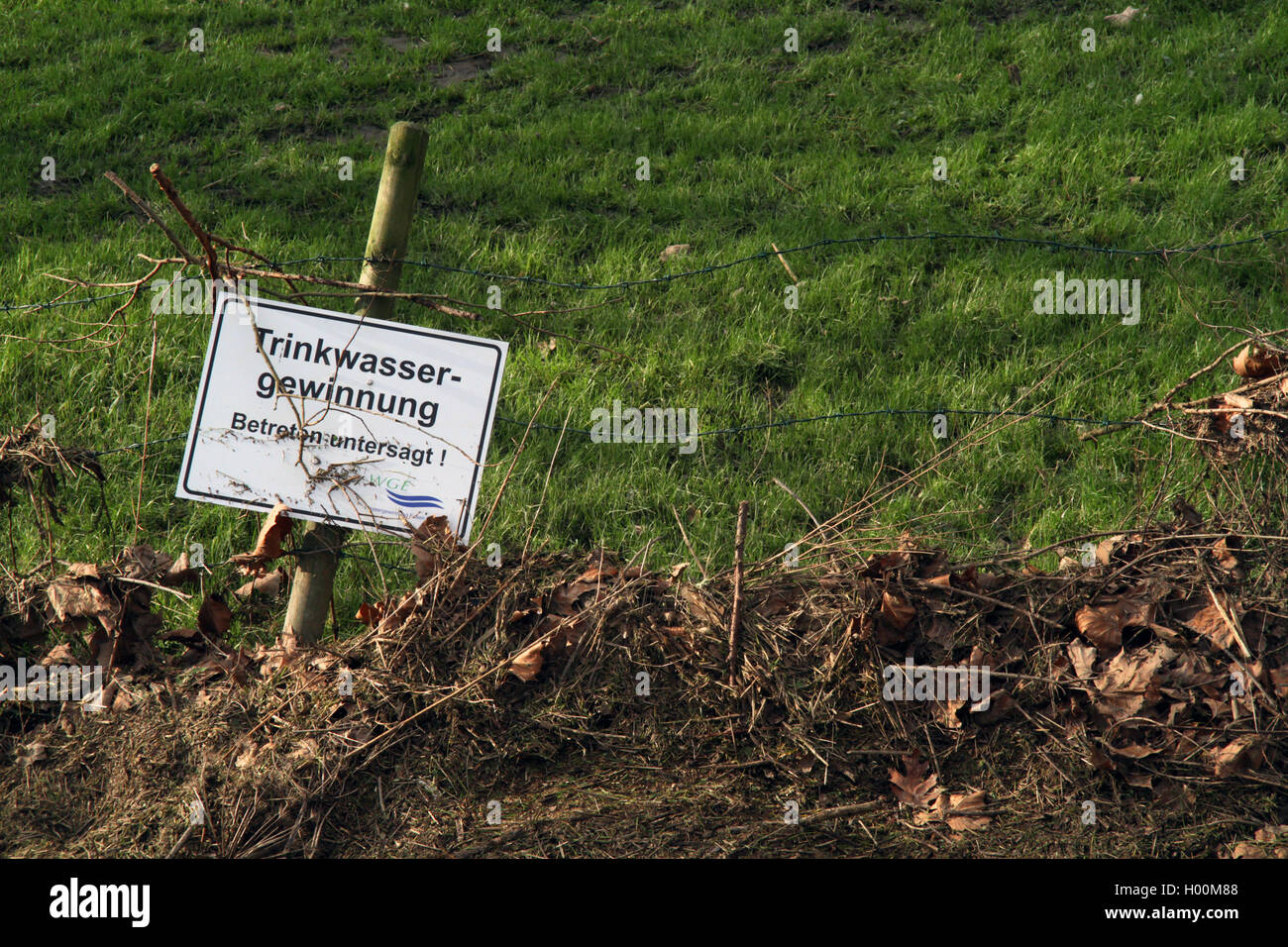 flotsam on a lawn after high water of Ruhr river, Germany, Ruhr Area Stock Photo