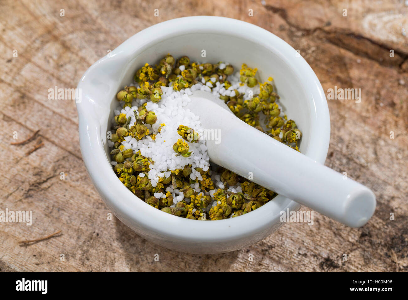 cornelian cherry wood (Cornus mas), collected flowers are dried and mixed with salt Stock Photo