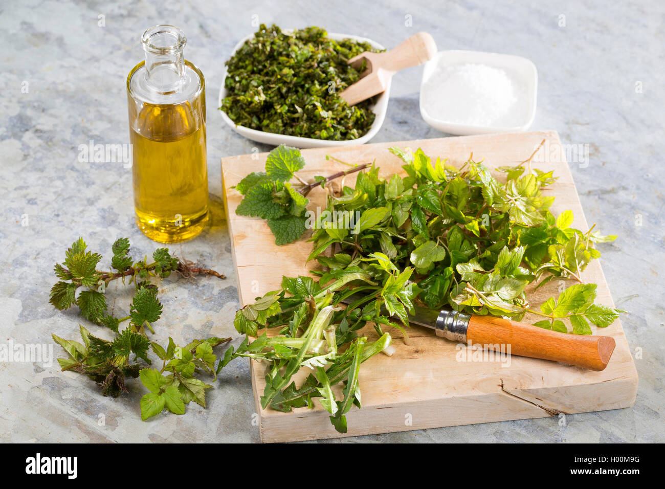 making a pesto of Bishop┤s Weed, Ground Elder, dandelion and stinging Nettle, Germany Stock Photo