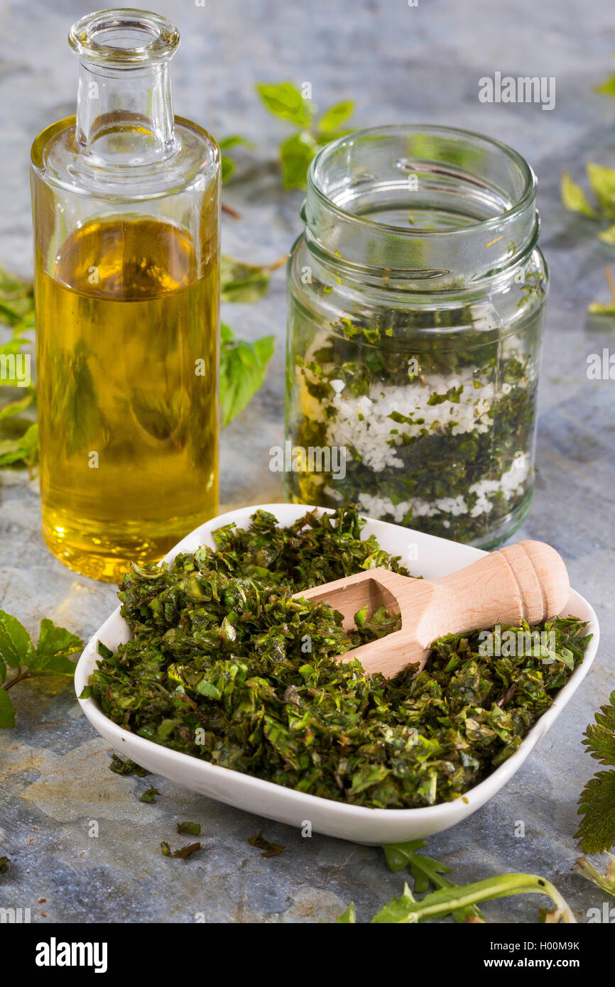 making a pesto of Bishop┤s Weed, Ground Elder, dandelion and stinging Nettle, Germany Stock Photo