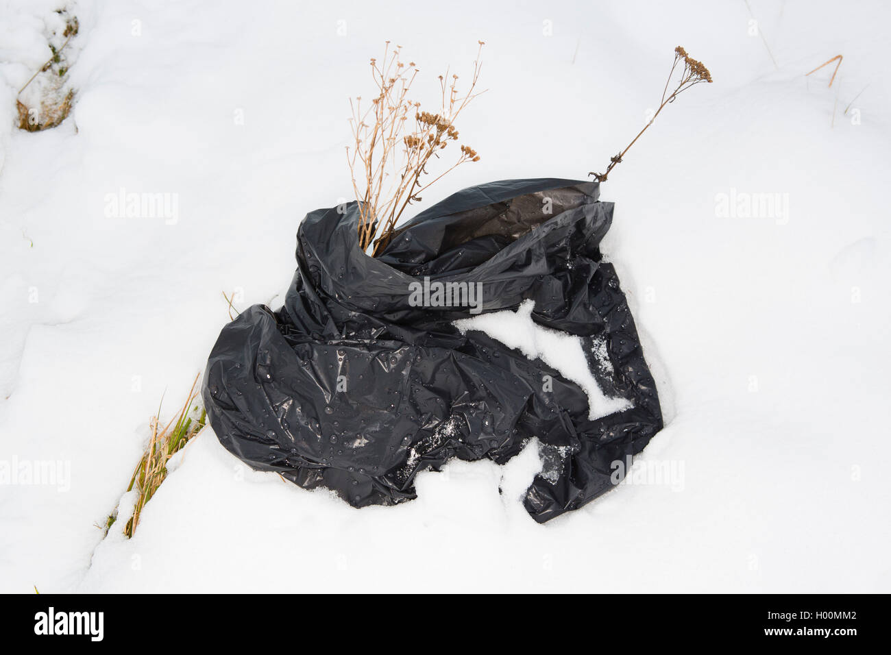 Broken sledges, trays and other pieces of rubbish litter the Roman Amphitheatre in Cirencester, Gloucestsershire Uk. The items have been left after days of sledging and playing in the snow, leaving the area looking like a battleground. Stock Photo