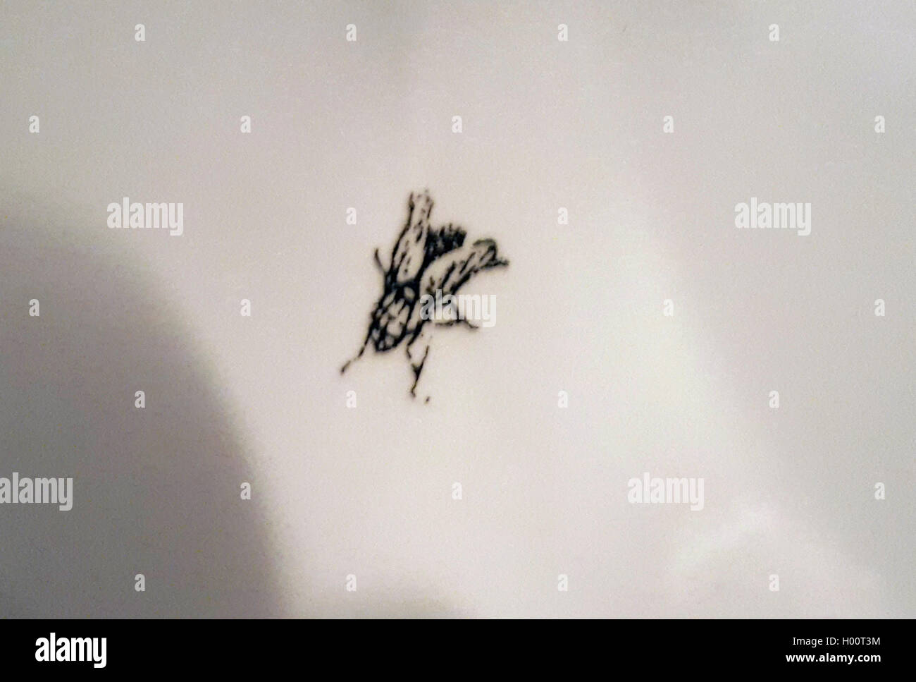 Fliege als Zielobjekt in einem Urinal | urinal fly | BLWS425068.jpg [ (c) blickwinkel/fotototo Tel. +49 (0)2302-2793220, E-mail: Stock Photo
