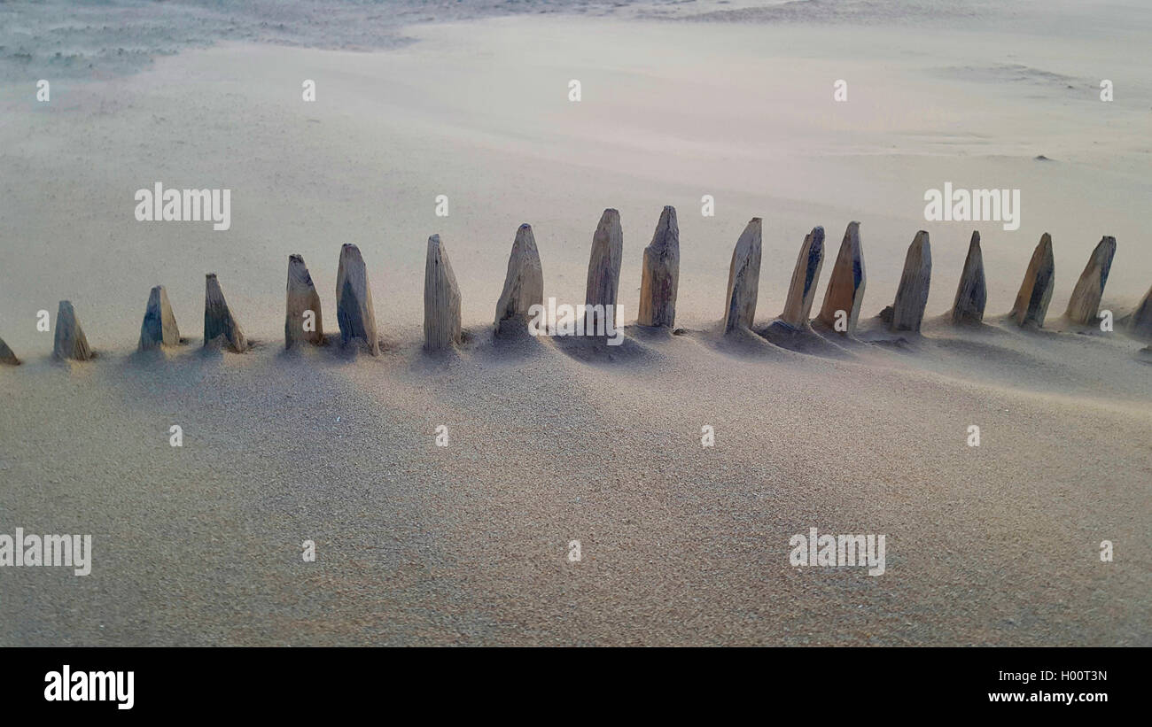 Holzzaun in einer Sandverwehung, Niederlande | wooden fence in sand drift, Netherlands | BLWS425069.jpg [ (c) blickwinkel/fototo Stock Photo