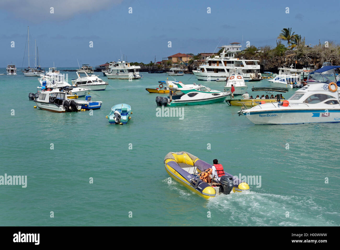 boats and yachts in harbour, Ecuador, Galapagos Islands, Santa Cruz, Puerto Ayora Stock Photo