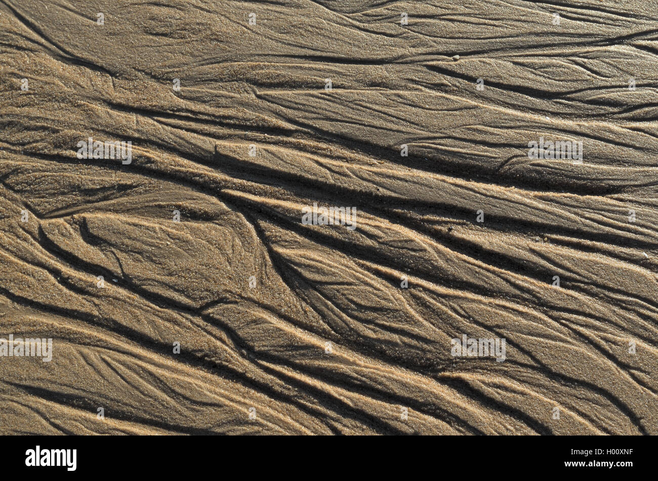 Beach sand surface texture. Natural backgrounds and textures Stock Photo