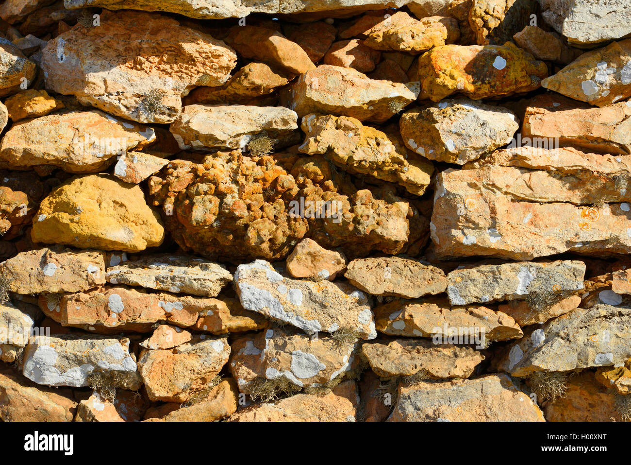 dry stone wall with corals on Formentera, Spain, Balearen, Formentera Stock Photo