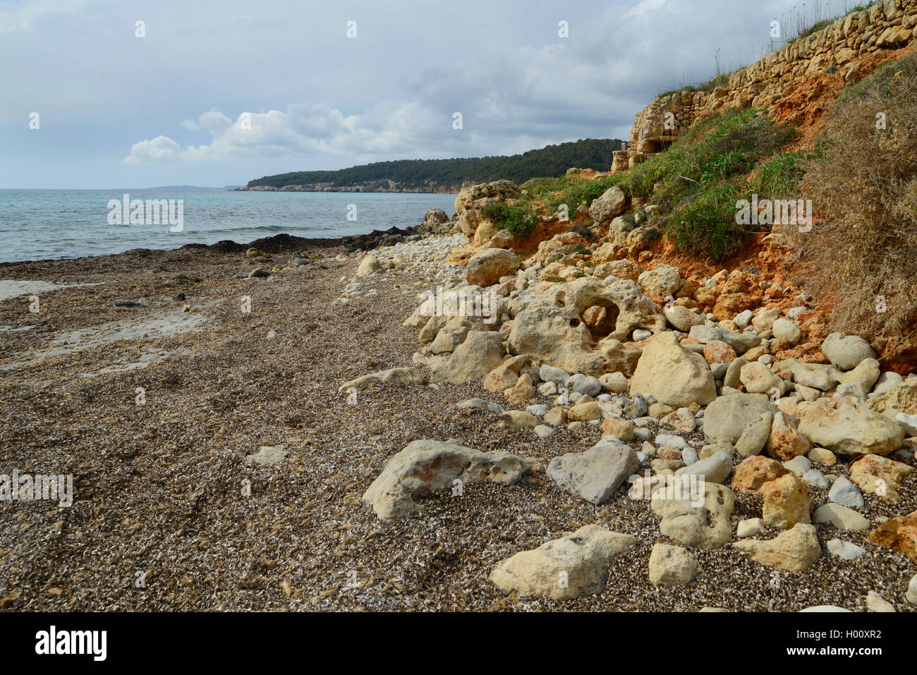 coast covered with dry pondweeds near Santo, Spain, Balearen, Menorca, Santo Tomas Stock Photo