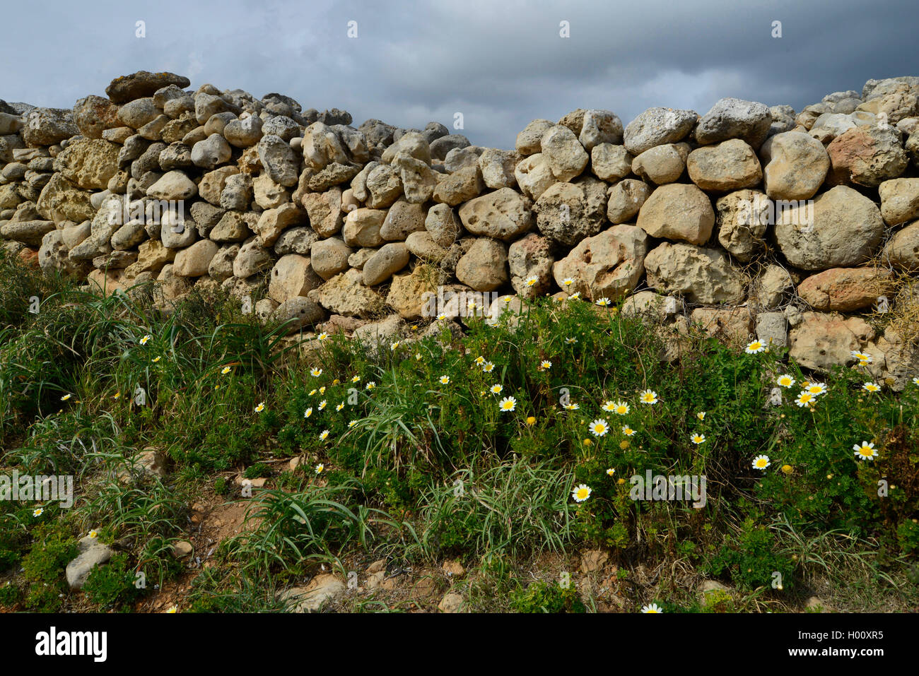 dry-stone wall buildt with MarÞs stones, shortly before a thunderstorm, Spain, Balearen, Menorca Stock Photo