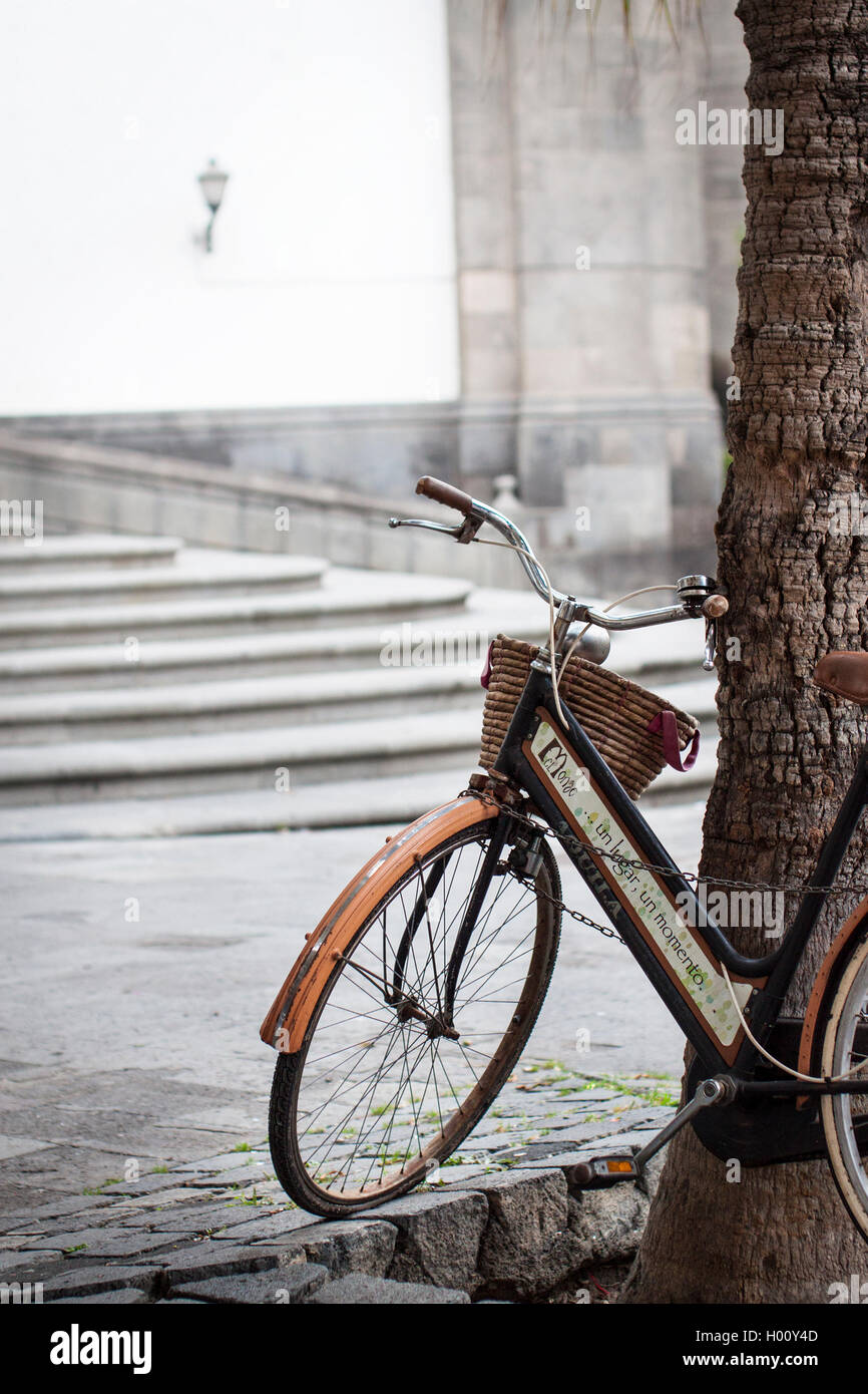 A vintage style bicycle with a weaved basket leaning against a tree, with stairs and street candelabra in the background Stock Photo