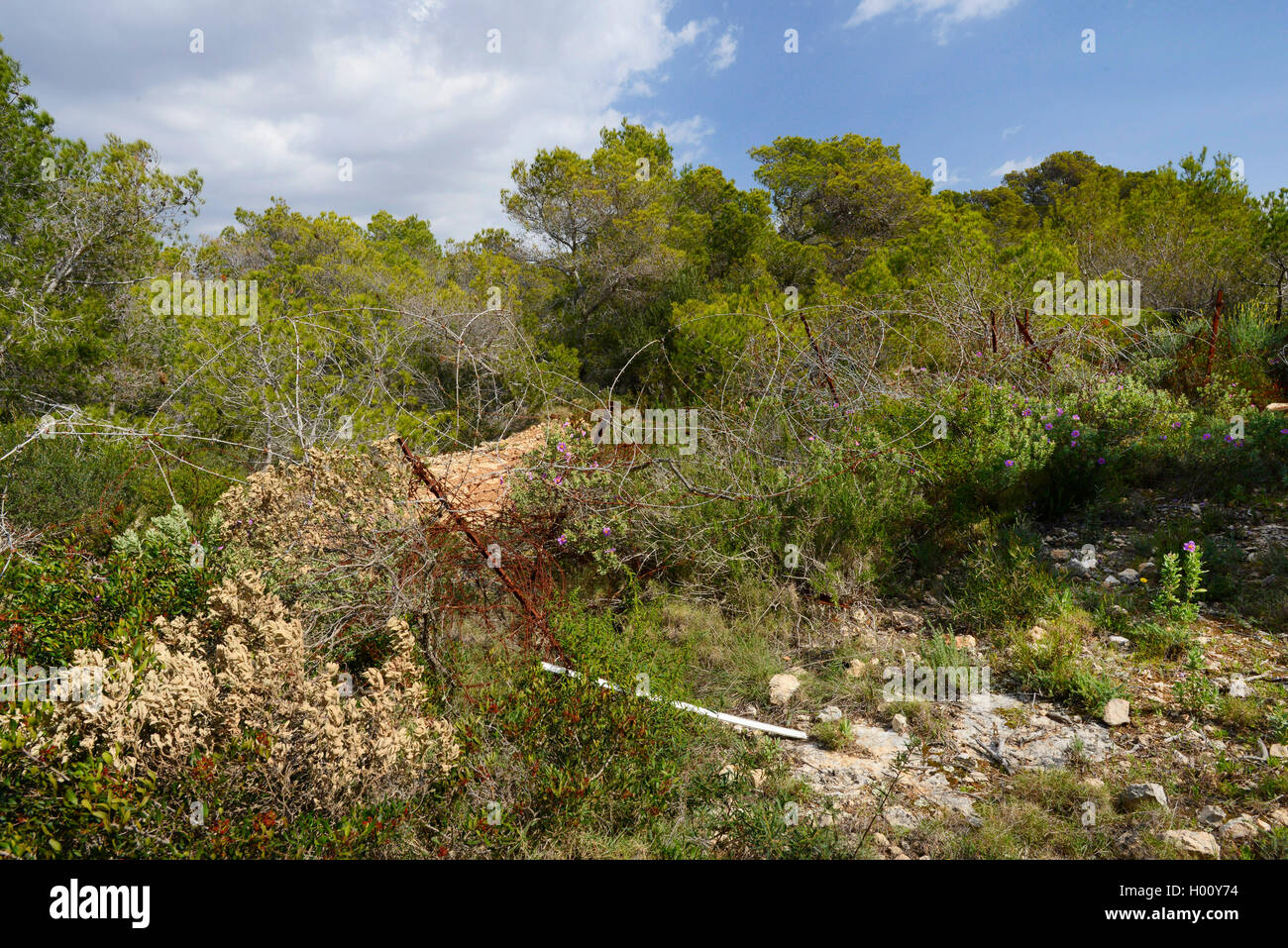 parade ground barricaded with barbed wire, Spain, Balearen, Majorca, El Toro Stock Photo