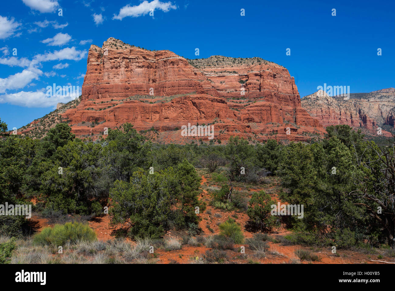 Courthouse Butte USA Arizona Coconino National Forest Sedona Stock courthouse-butte-usa-arizona-coconino-national-forest-sedona-stock