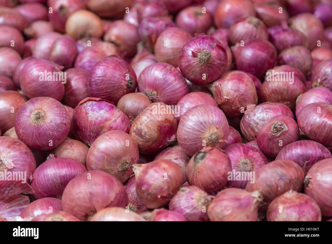 Purple red skin onions hi-res stock photography and images - Alamy