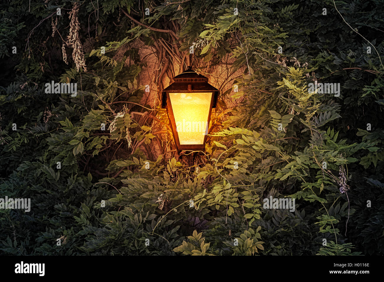 Cast iron wall mounted street lamp glowing in the dark among lush