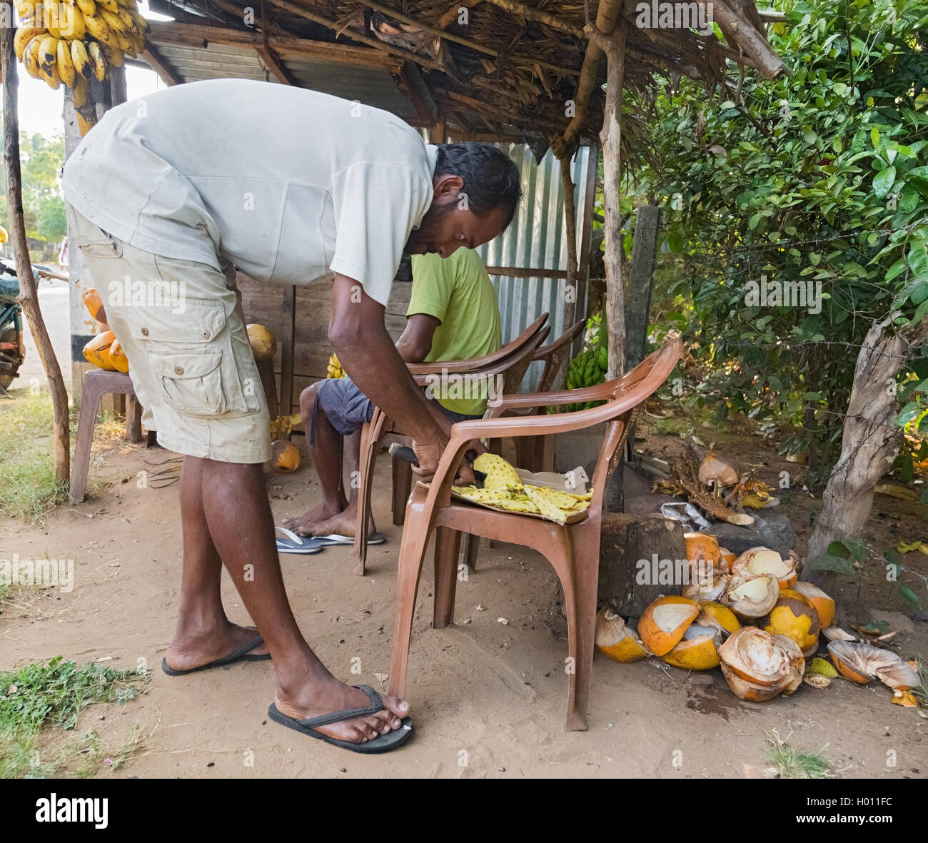 ELLA, SRI LANKA - MARCH 3, 2014: Local man cutting fruit on chair. Tropical produce of Sri Lanka origin are very popular among t Stock Photo