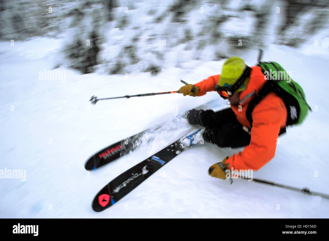carve turn of a skier, France, Savoie, Sainte-Foy-Tarentaise Stock Photo