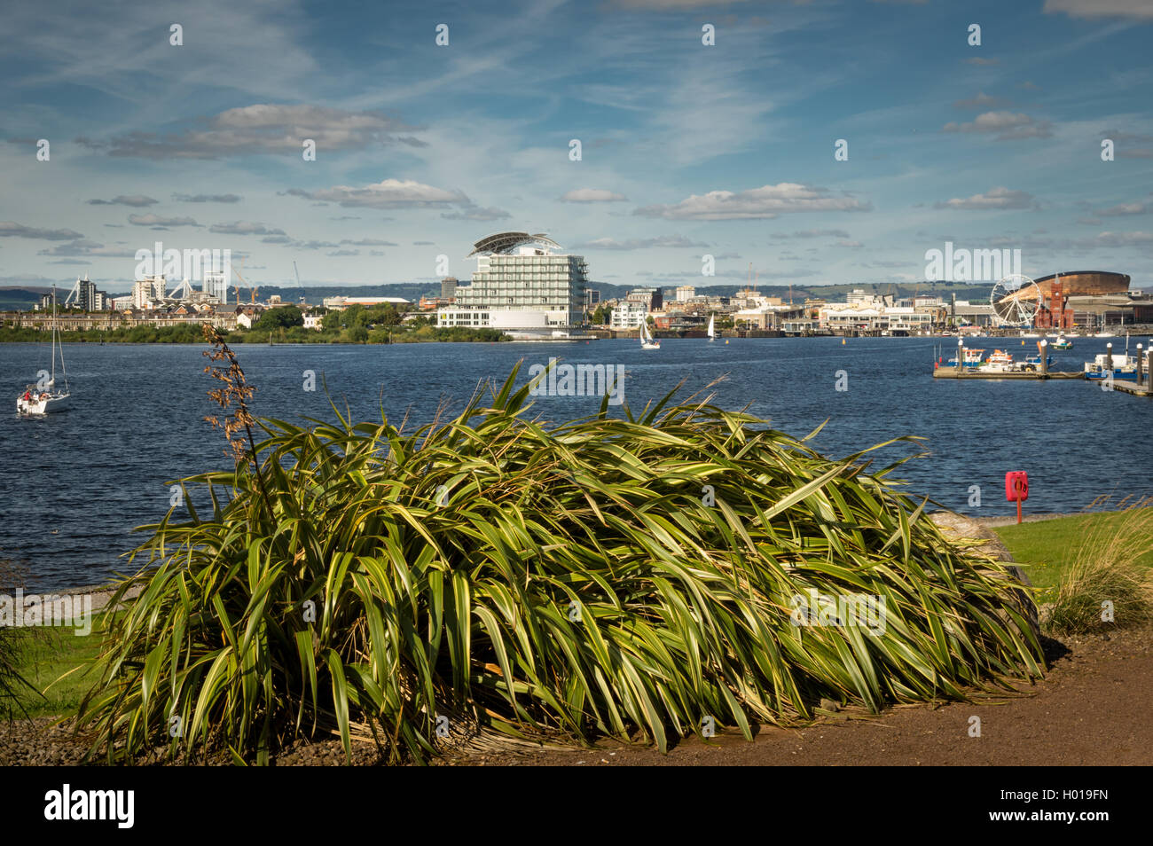 A wide angled shot of Cardiff Bay from the barrage showing St. Davids Hotel as well as the WMC Welsh Millennium Center Stock Photo