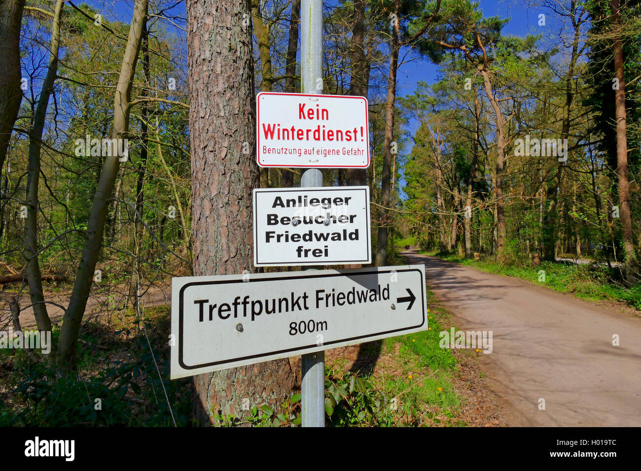 direction sign to Friedwald forest, Germany, Lower Saxony, Brundorf Stock Photo