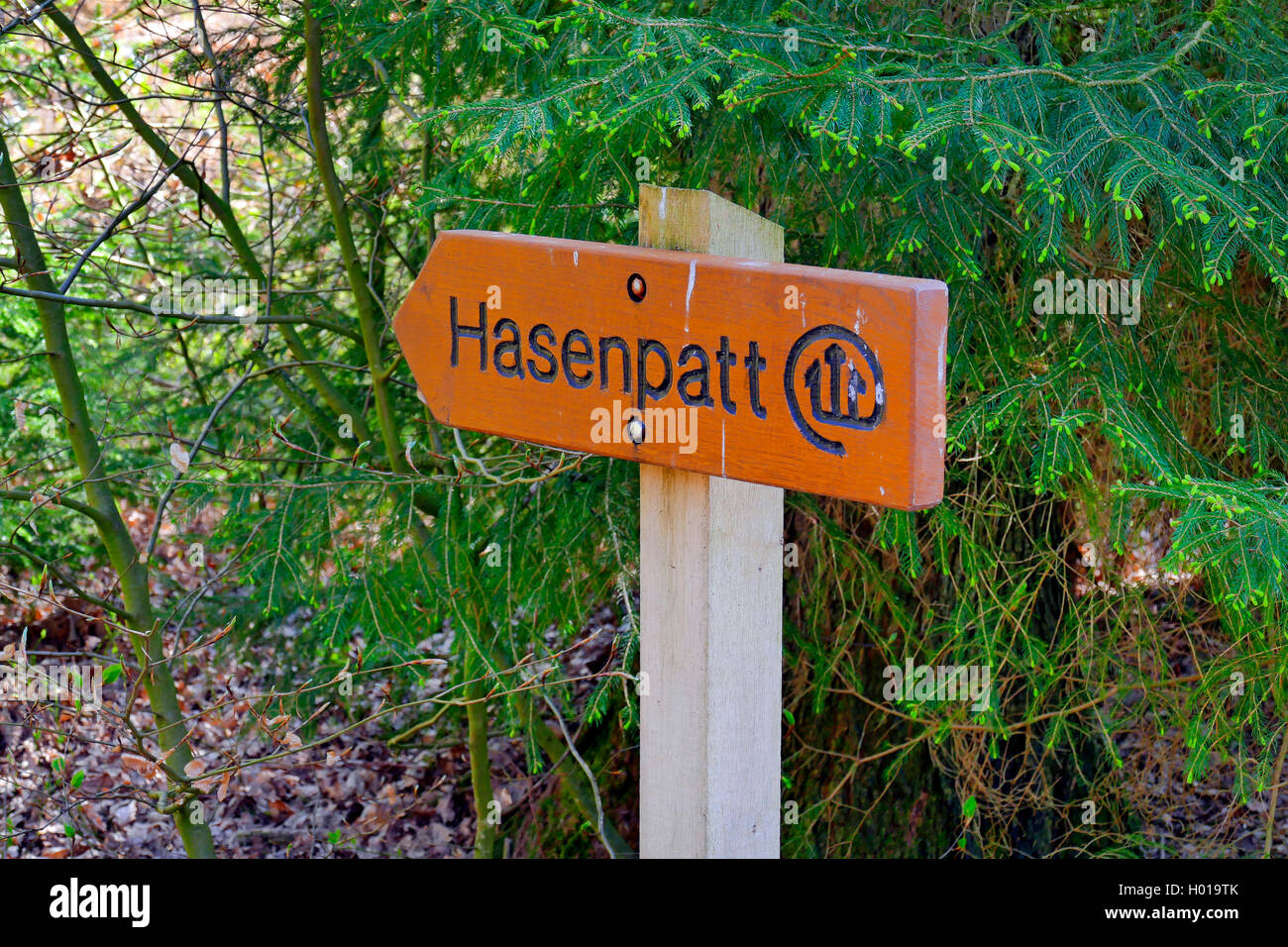 guidepost in Friedwald forest, Germany, Lower Saxony Stock Photo