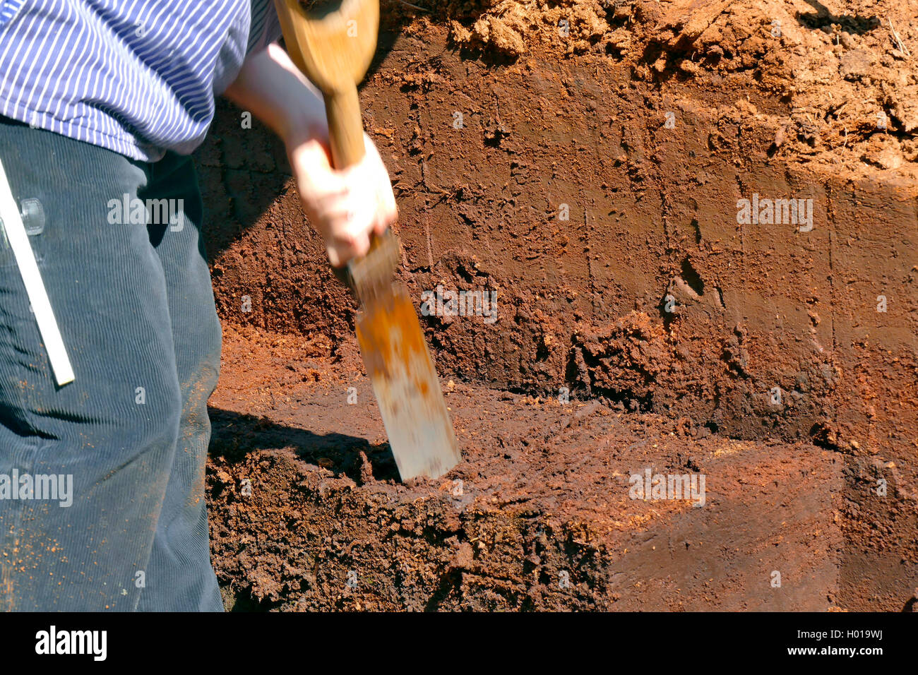 working peat cutter, Germany, Lower Saxony Stock Photo