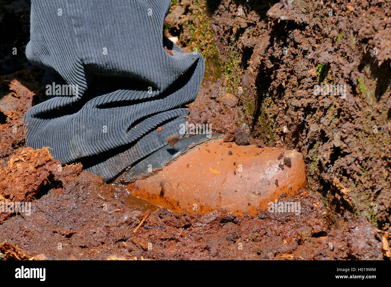 wooden shoe of a peat cutter in peat, Germany, Lower Saxony Stock Photo